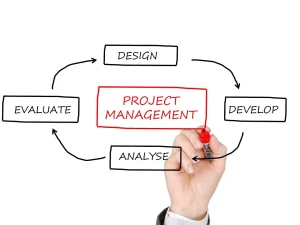 Read more about the article Project Management Trends You Need to Know for 2024