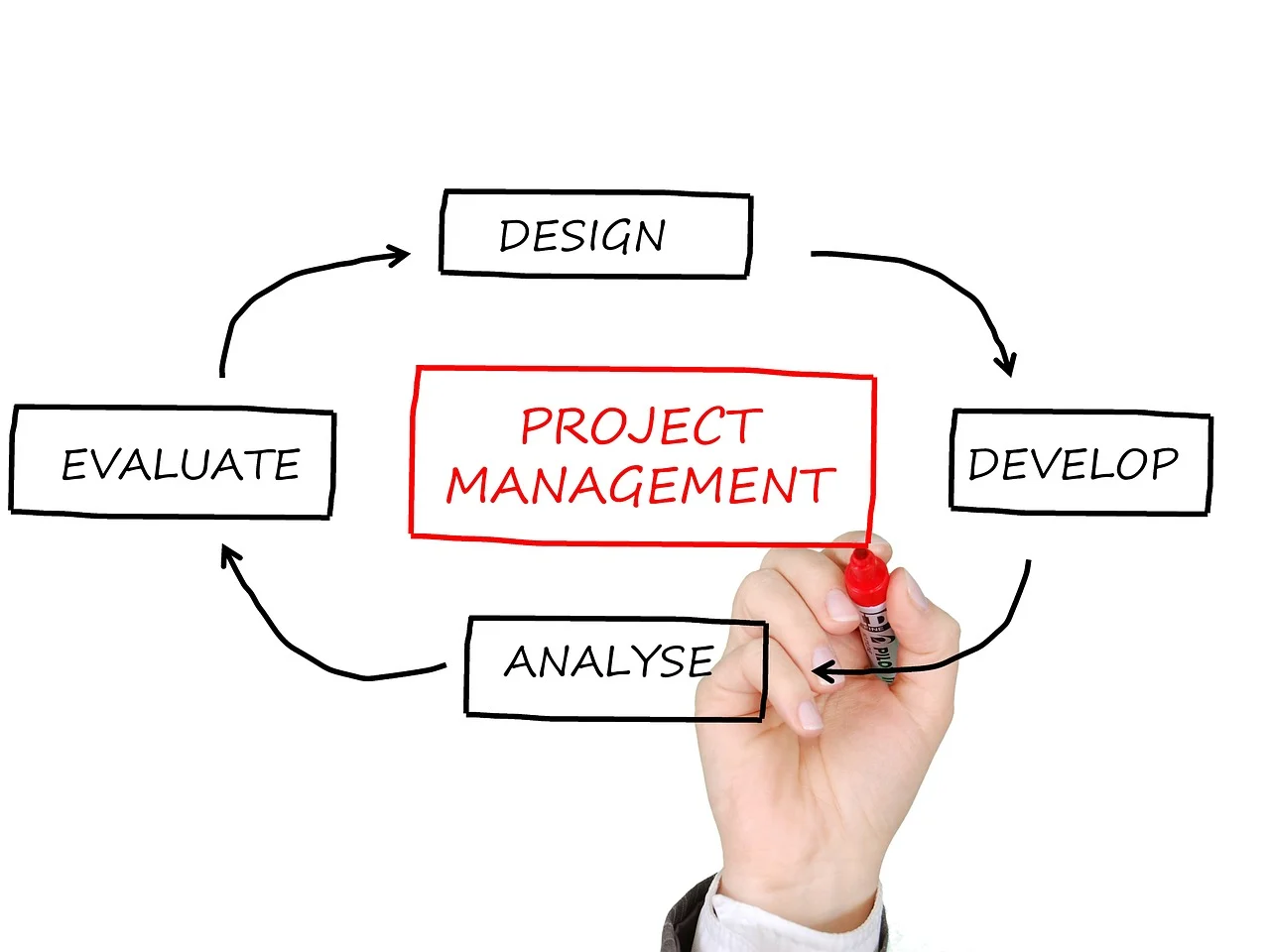 You are currently viewing Project Management Trends You Need to Know for 2024