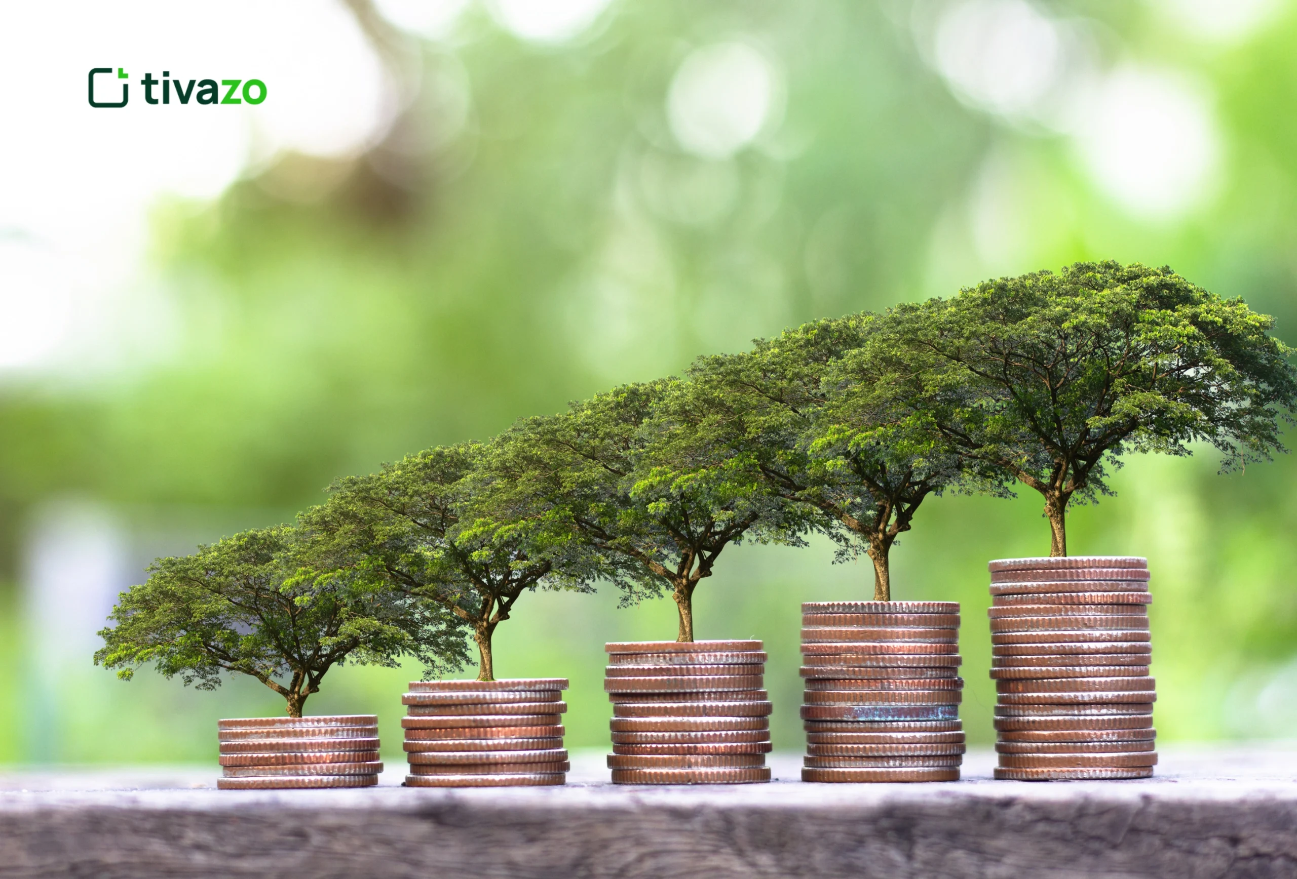 You are currently viewing How Tivazo Supports Sustainable Economic Growth in the Workplace