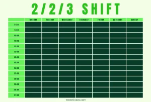 Read more about the article What Is the 2 2 3 Shift? A Smart Solution for 24/7 Workflows